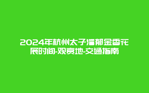 2024年杭州太子湾郁金香花展时间-观赏地-交通指南