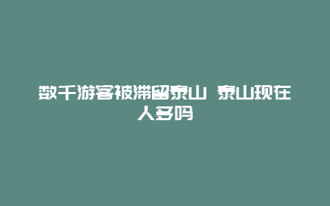 数千游客被滞留泰山 泰山现在人多吗