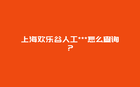 上海欢乐谷人工***怎么查询？