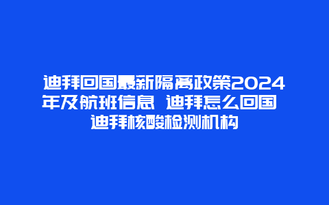 迪拜回国最新隔离政策2024年及航班信息 迪拜怎么回国 迪拜核酸检测机构