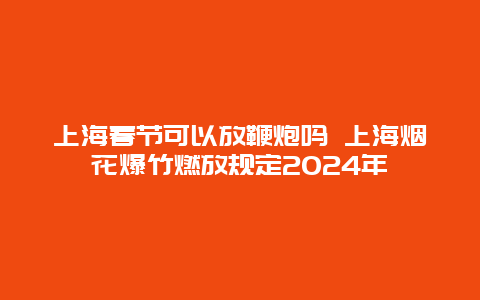 上海春节可以放鞭炮吗 上海烟花爆竹燃放规定2024年