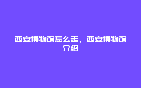 西安博物馆怎么走，西安博物馆介绍