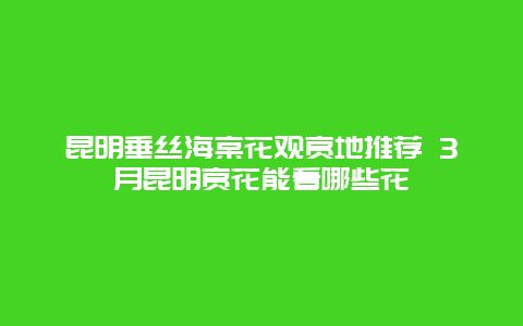 昆明垂丝海棠花观赏地推荐 3月昆明赏花能看哪些花