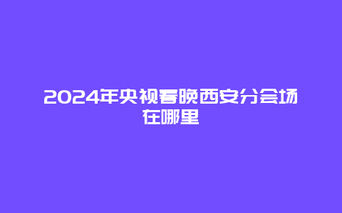 2024年央视春晚西安分会场在哪里