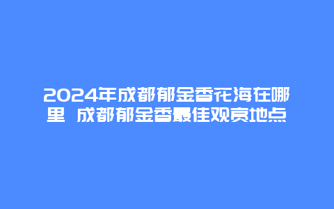 2024年成都郁金香花海在哪里 成都郁金香最佳观赏地点