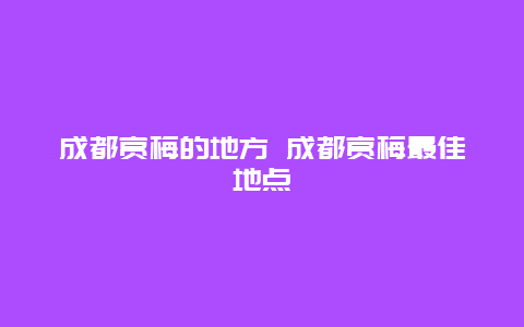 成都赏梅的地方 成都赏梅最佳地点