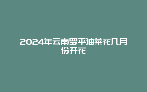 2024年云南罗平油菜花几月份开花