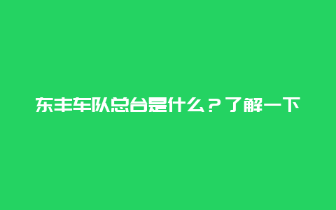 东丰车队总台是什么？了解一下