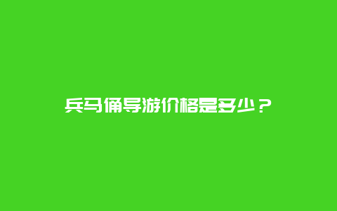 兵马俑导游价格是多少？