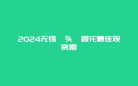 2024无锡鼋头渚樱花最佳观赏期