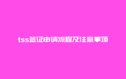 tss签证申请流程及注意事项