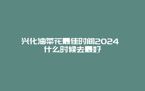 兴化油菜花最佳时间2024 什么时候去最好