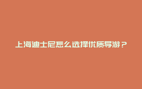 上海迪士尼怎么选择优质导游？