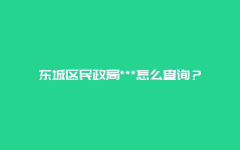 东城区民政局***怎么查询？