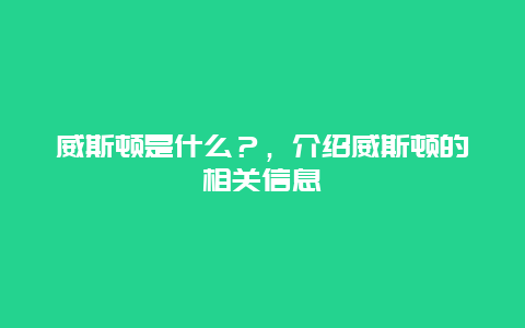 威斯顿是什么？，介绍威斯顿的相关信息