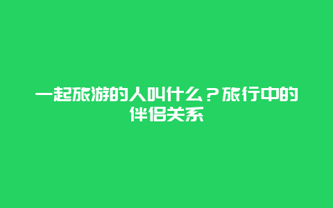 一起旅游的人叫什么？旅行中的伴侣关系