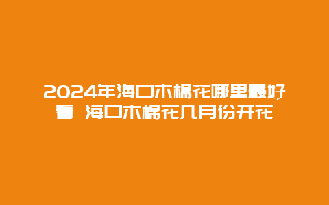 2024年海口木棉花哪里最好看 海口木棉花几月份开花