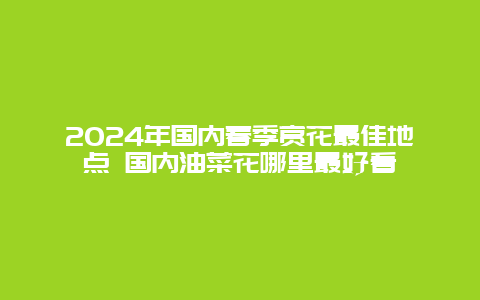 2024年国内春季赏花最佳地点 国内油菜花哪里最好看