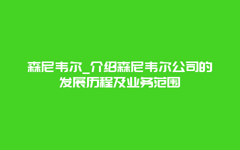 森尼韦尔_介绍森尼韦尔公司的发展历程及业务范围