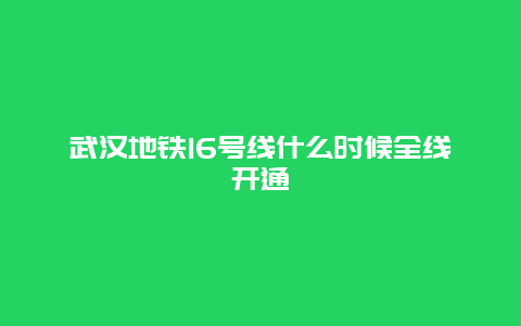 武汉地铁16号线什么时候全线开通