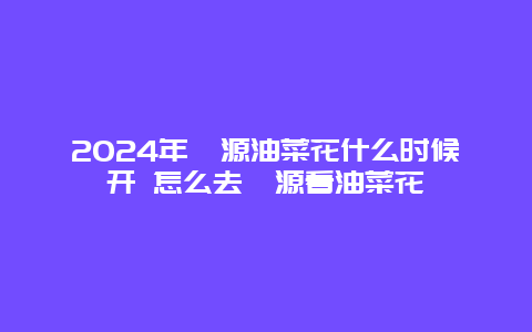 2024年婺源油菜花什么时候开 怎么去婺源看油菜花