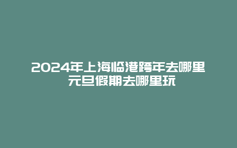 2024年上海临港跨年去哪里 元旦假期去哪里玩