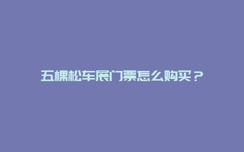 五棵松车展门票怎么购买？