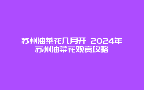 苏州油菜花几月开 2024年苏州油菜花观赏攻略