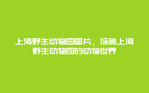 上海野生动物园图片，探秘上海野生动物园的动物世界