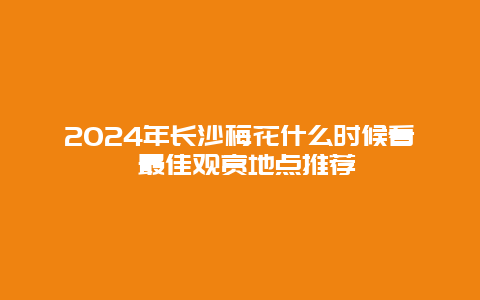 2024年长沙梅花什么时候看 最佳观赏地点推荐