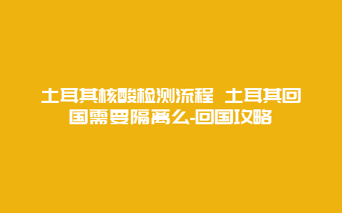 土耳其核酸检测流程 土耳其回国需要隔离么-回国攻略