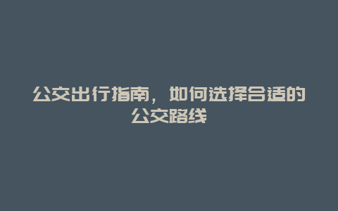 公交出行指南，如何选择合适的公交路线