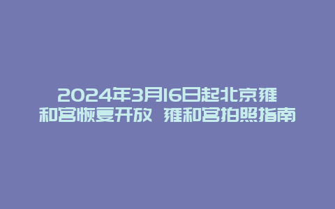 2024年3月16日起北京雍和宫恢复开放 雍和宫拍照指南