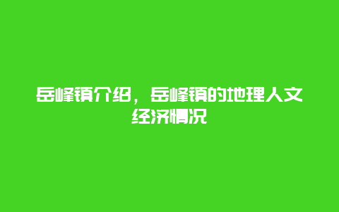 岳峰镇介绍，岳峰镇的地理人文经济情况