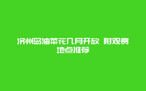 济州岛油菜花几月开放 附观赏地点推荐