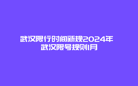 武汉限行时间新规2024年 武汉限号规则1月