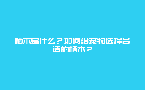 栖木是什么？如何给宠物选择合适的栖木？