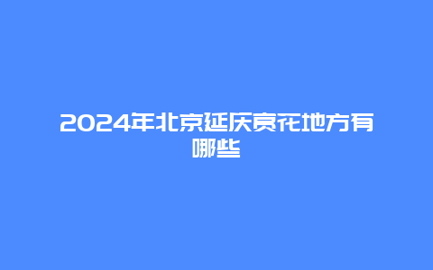 2024年北京延庆赏花地方有哪些