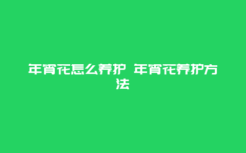 年宵花怎么养护 年宵花养护方法