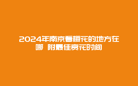 2024年南京看樱花的地方在哪 附最佳赏花时间