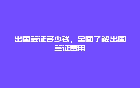 出国签证多少钱，全面了解出国签证费用