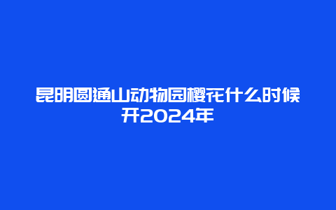 昆明圆通山动物园樱花什么时候开2024年