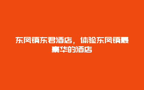 东凤镇东君酒店，体验东凤镇最豪华的酒店