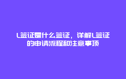 L签证是什么签证，详解L签证的申请流程和注意事项