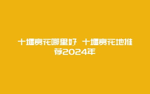 十堰赏花哪里好 十堰赏花地推荐2024年