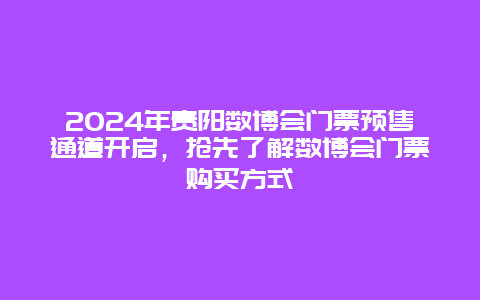 2024年贵阳数博会门票预售通道开启，抢先了解数博会门票购买方式