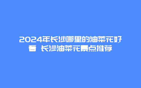 2024年长沙哪里的油菜花好看 长沙油菜花景点推荐