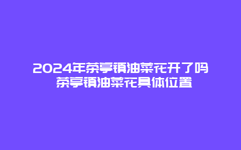 2024年茶亭镇油菜花开了吗 茶亭镇油菜花具体位置