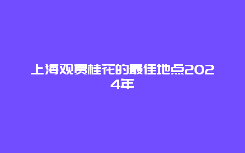 上海观赏桂花的最佳地点2024年