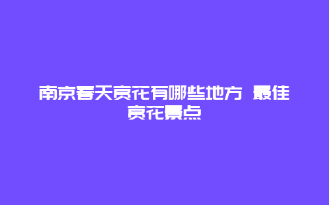 南京春天赏花有哪些地方 最佳赏花景点